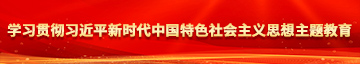 午夜剧场拨插拨插学习贯彻习近平新时代中国特色社会主义思想主题教育